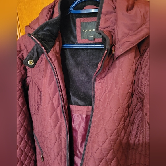 Fall/early winter jacket - Picture 3 of 5